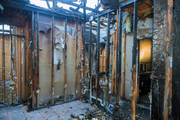 Professional Fire Damage Assessment technician working in Canadian Lakes, MI